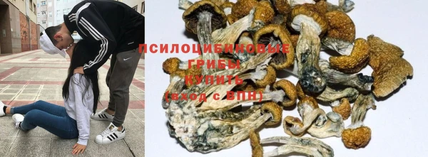 марки lsd Надым