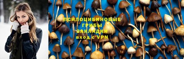 героин Алексин