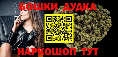 шишки Новодвинск