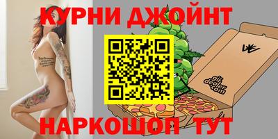 шишки Новодвинск
