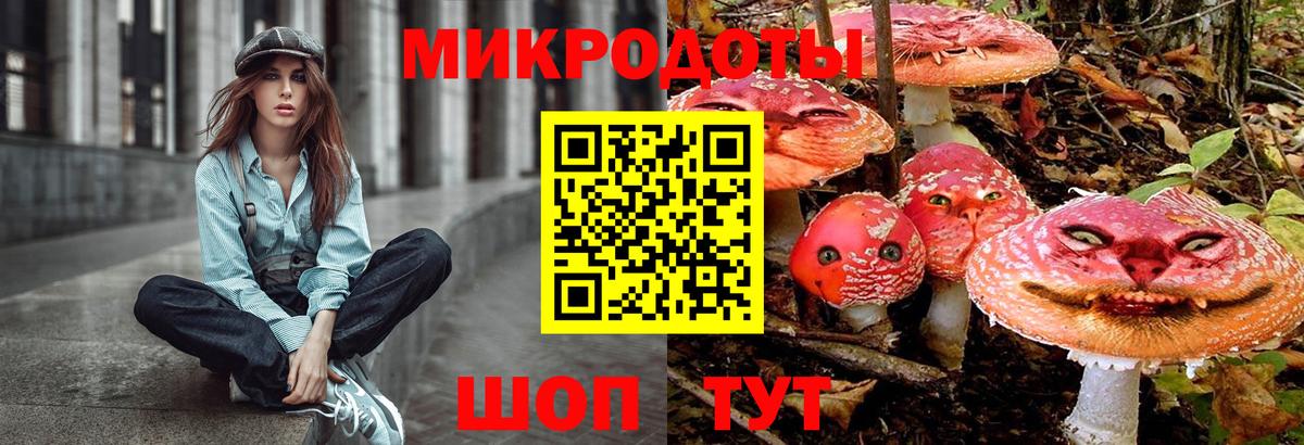 Псилоцибиновые грибы Psilocybe  Вход с VPN  Подольск 