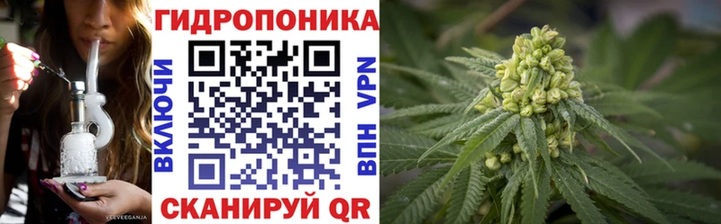 где купить наркотик  Подольск  Шишки марихуана Ganja 
